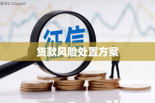 海拉尔贷款风险处置方案