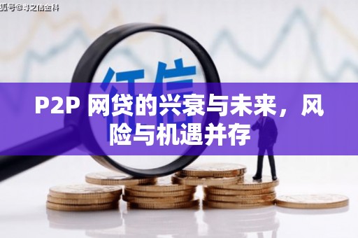 海拉尔P2P 网贷的兴衰与未来，风险与机遇并存