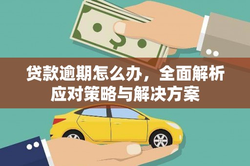 海拉尔贷款逾期怎么办，全面解析应对策略与解决方案