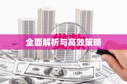 海拉尔全面解析与高效策略