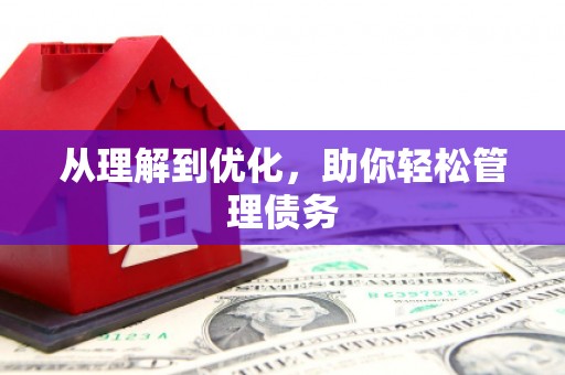 海拉尔从理解到优化，助你轻松管理债务