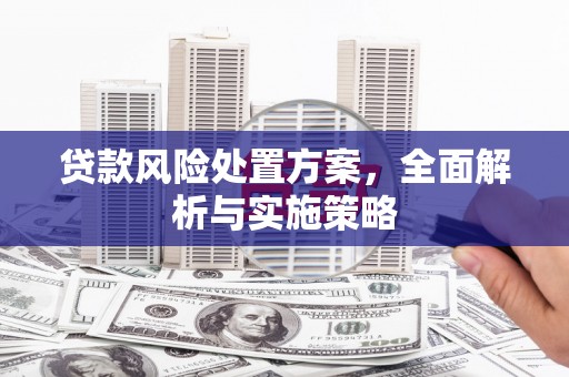 海拉尔贷款风险处置方案，全面解析与实施策略