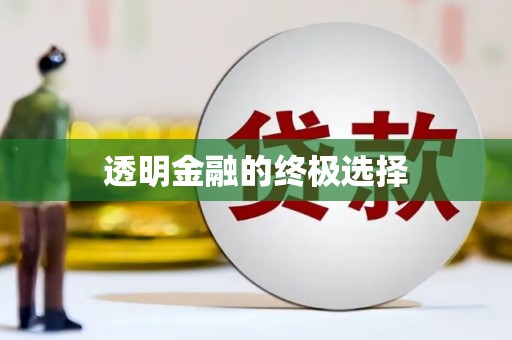 海拉尔透明金融的终极选择