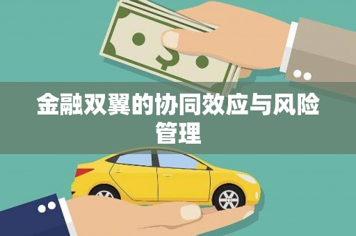 海拉尔金融双翼的协同效应与风险管理