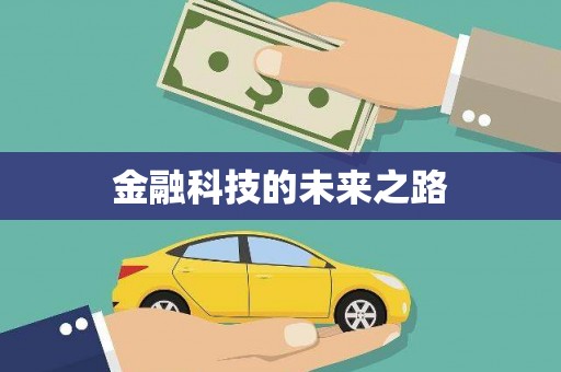 海拉尔金融科技的未来之路