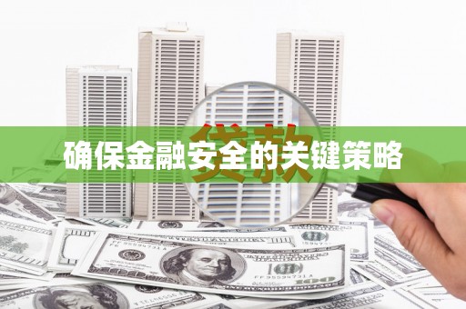 海拉尔确保金融安全的关键策略