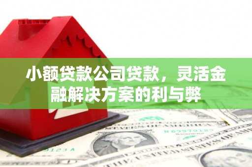 海拉尔小额贷款公司贷款，灵活金融解决方案的利与弊