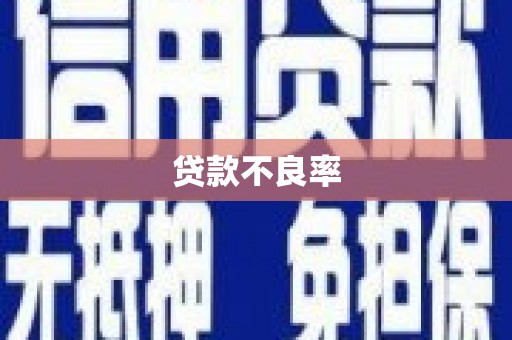 海拉尔贷款不良率