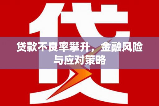 海拉尔贷款不良率攀升，金融风险与应对策略