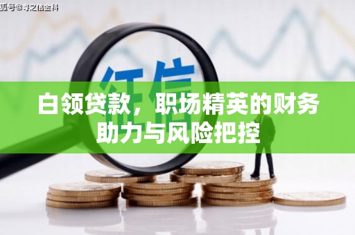 海拉尔白领贷款，职场精英的财务助力与风险把控